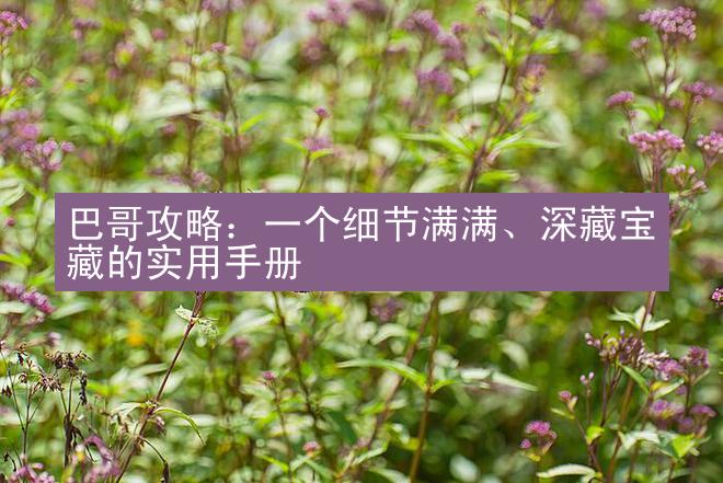 巴哥攻略：一个细节满满、深藏宝藏的实用手册