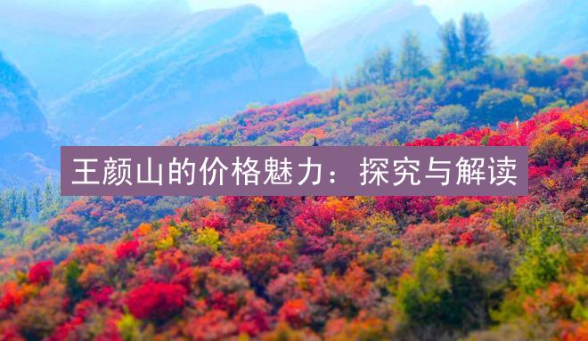 王颜山的价格魅力：探究与解读