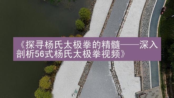 《探寻杨氏太极拳的精髓——深入剖析56式杨氏太极拳视频》