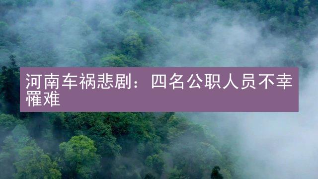 河南车祸悲剧：四名公职人员不幸罹难