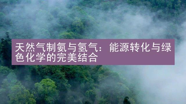 天然气制氨与氢气：能源转化与绿色化学的完美结合