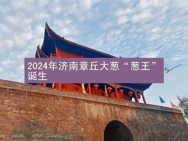 2024年济南章丘大葱“葱王”诞生