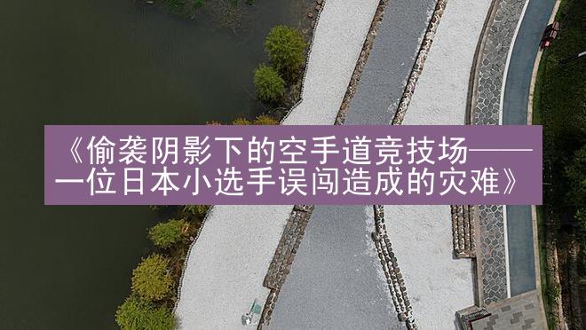 《偷袭阴影下的空手道竞技场——一位日本小选手误闯造成的灾难》