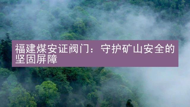 福建煤安证阀门：守护矿山安全的坚固屏障