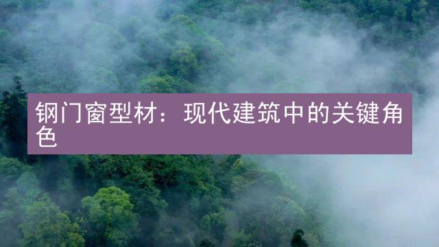 钢门窗型材：现代建筑中的关键角色