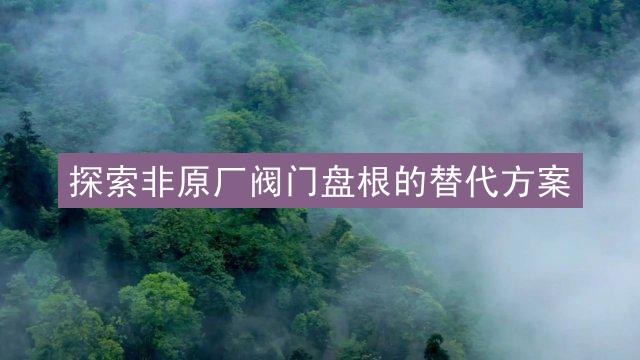 探索非原厂阀门盘根的替代方案