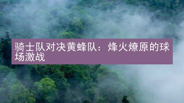 骑士队对决黄蜂队：烽火燎原的球场激战