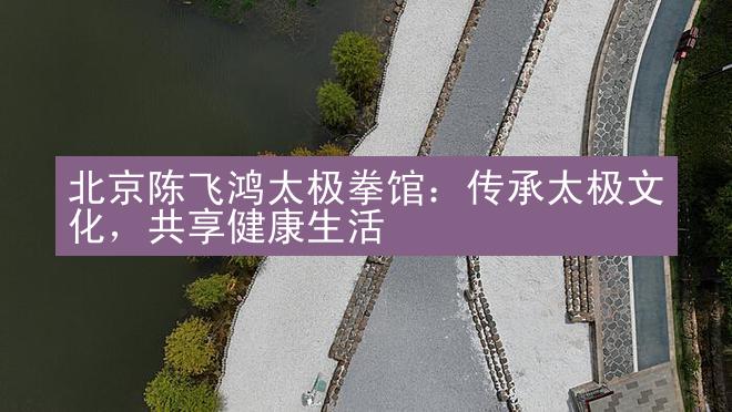 北京陈飞鸿太极拳馆：传承太极文化，共享健康生活