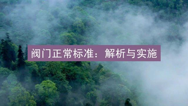 阀门正常标准：解析与实施