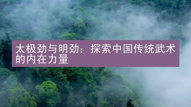 太极劲与明劲：探索中国传统武术的内在力量