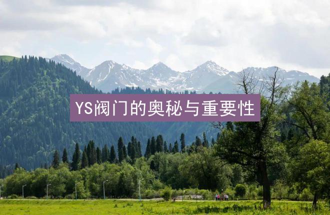 YS阀门的奥秘与重要性