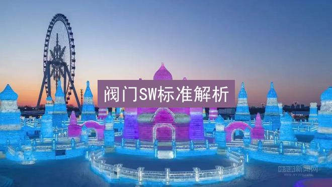 阀门SW标准解析