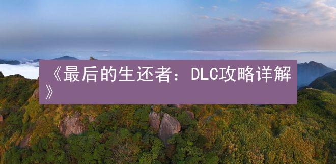 《最后的生还者：DLC攻略详解》