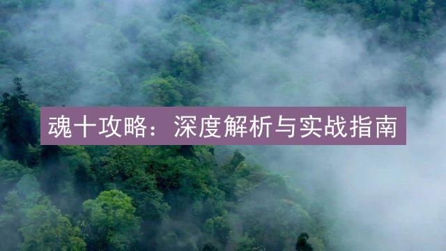 魂十攻略：深度解析与实战指南