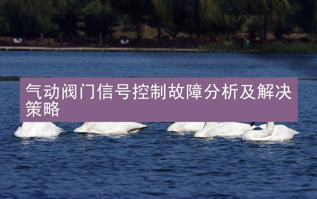 气动阀门信号控制故障分析及解决策略