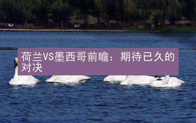 荷兰VS墨西哥前瞻：期待已久的对决