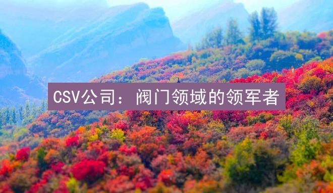 CSV公司：阀门领域的领军者