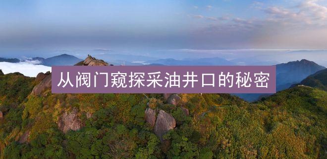 从阀门窥探采油井口的秘密