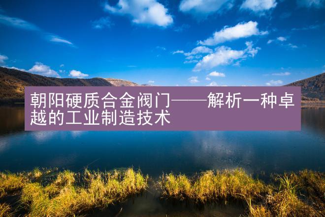 朝阳硬质合金阀门——解析一种卓越的工业制造技术